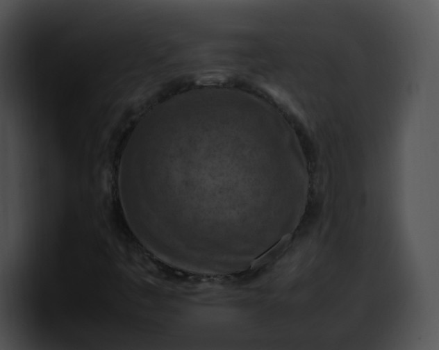 X0000099981445200806061513