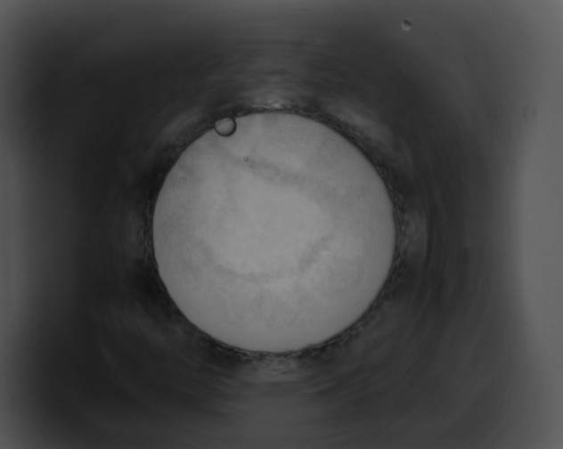 X0000099981446200806061513