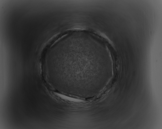 X0000099981448200806061513