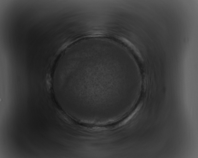 X0000099981449200806061513