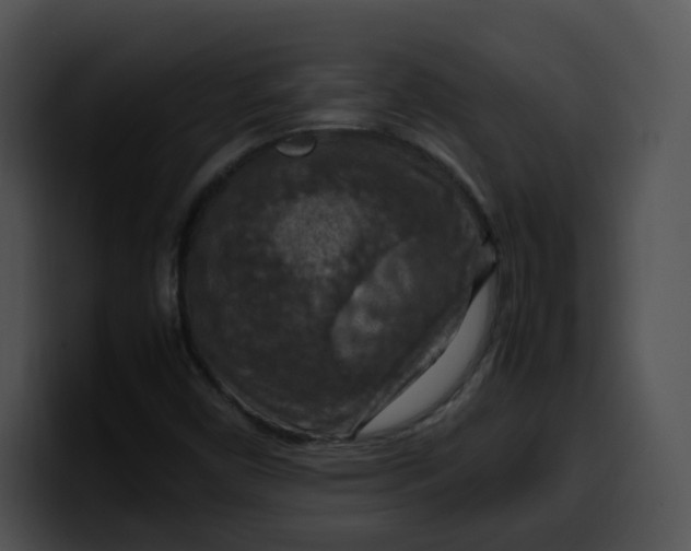 X0000099981450200806061513