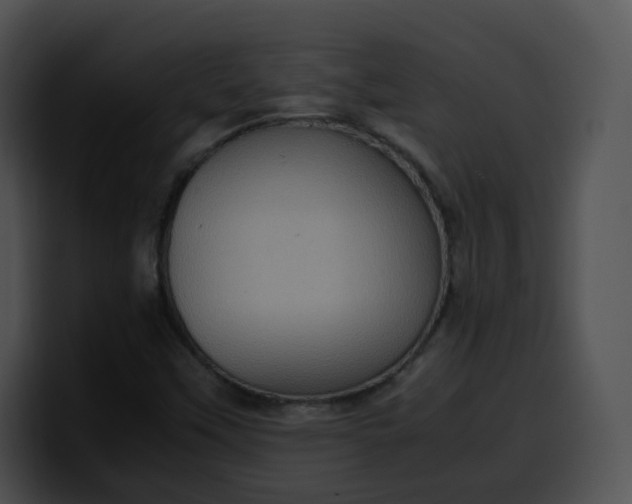 X0000099981451200806061513