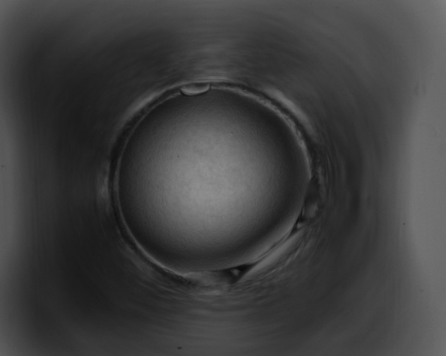 X0000099981452200806061513