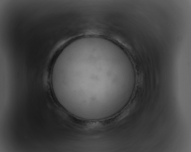 X0000099981454200806061513