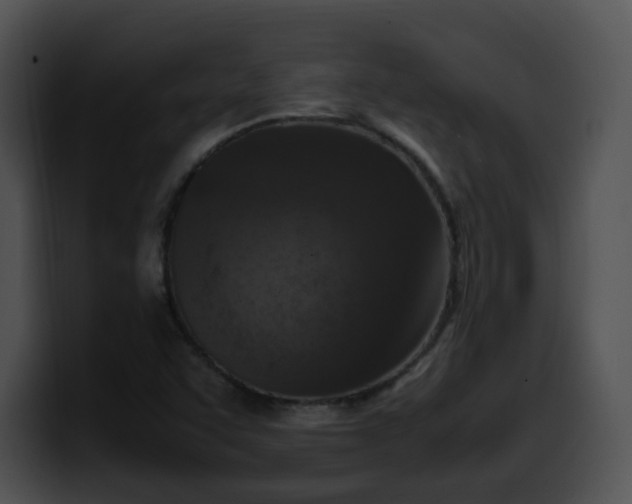 X0000099981455200806061513