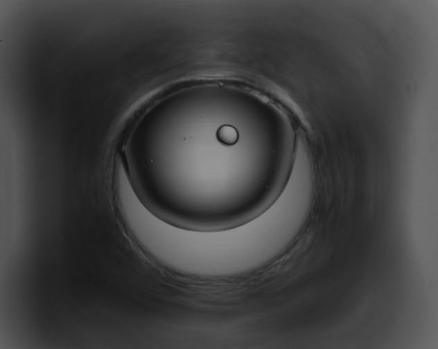 X0000099981456200806061513