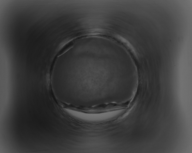 X0000099981457200806061513