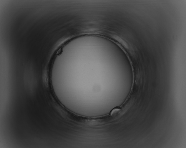 X0000099981458200806061513