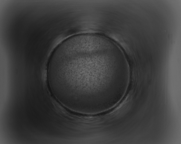 X0000099981459200806061513