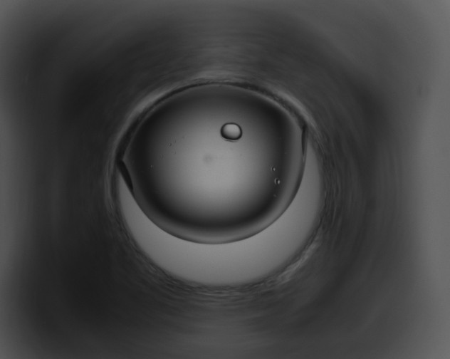 X0000099981461200806061513