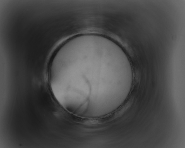 X0000099981462200806061513