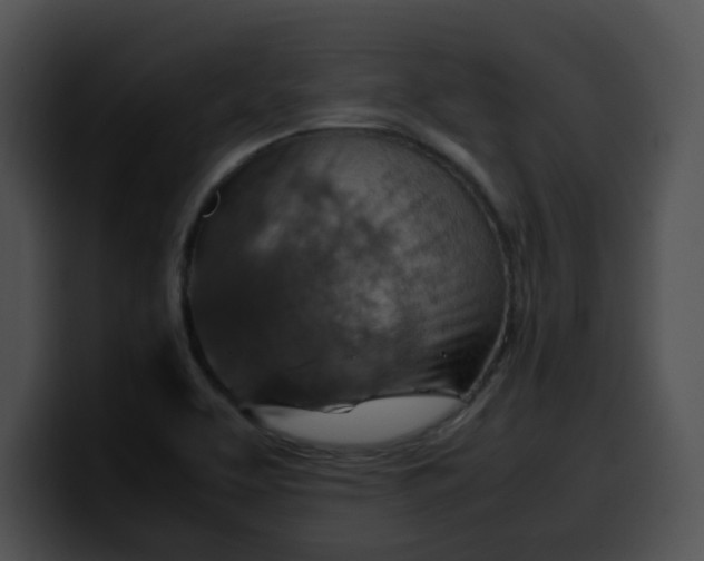 X0000099981463200806061513