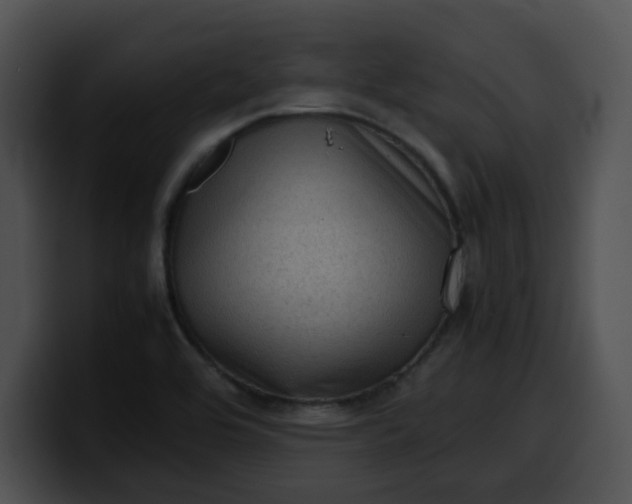 X0000099981464200806061513