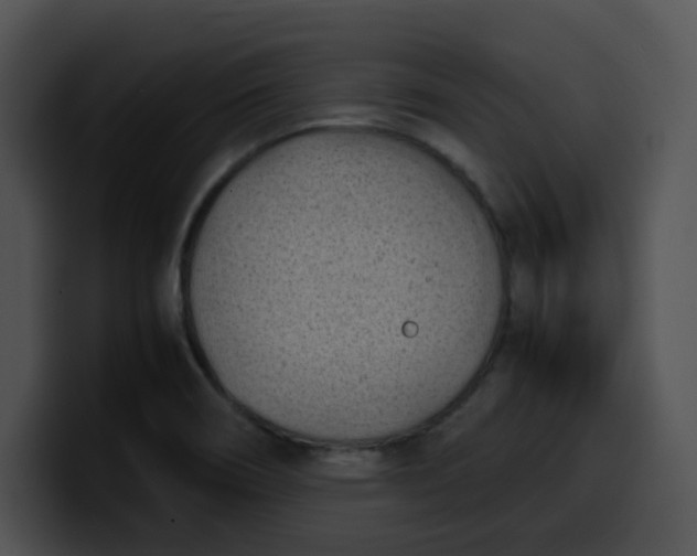 X0000099981466200806061513