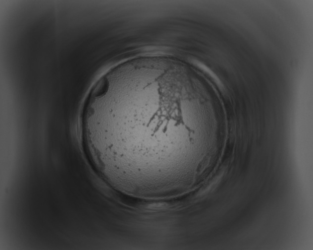 X0000099981467200806061513