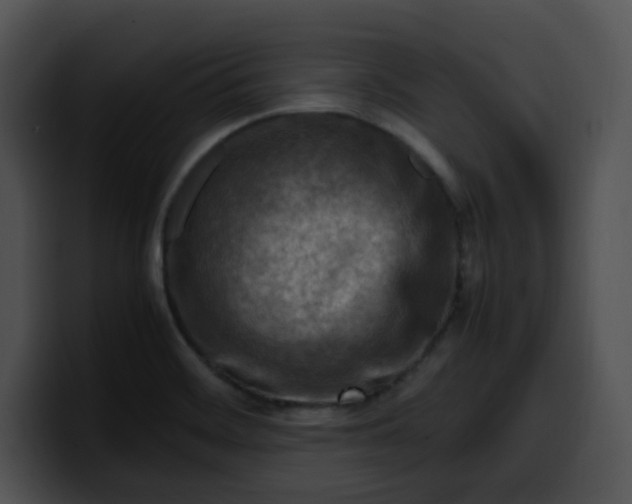 X0000099981468200806061513