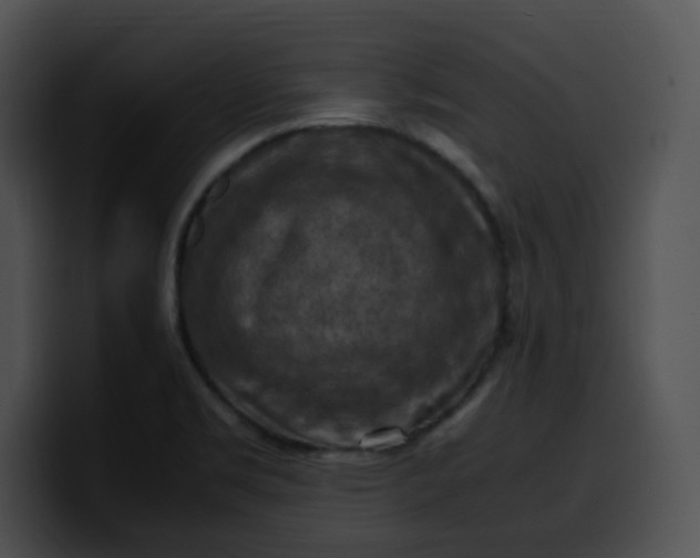 X0000099981469200806061513