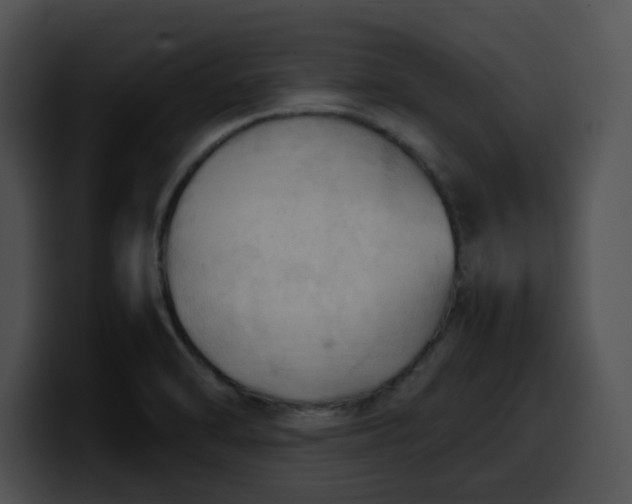 X0000099981470200806061513