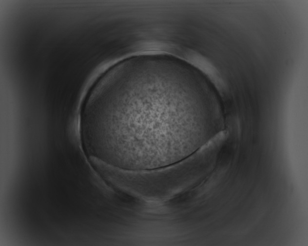 X0000099981472200806061513