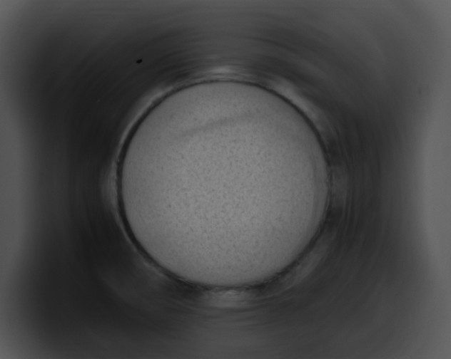 X0000099981474200806061513