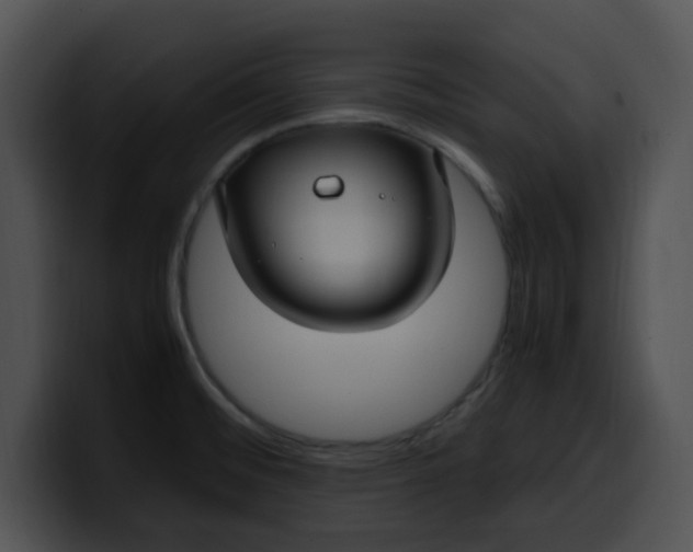 X0000099981476200806061513