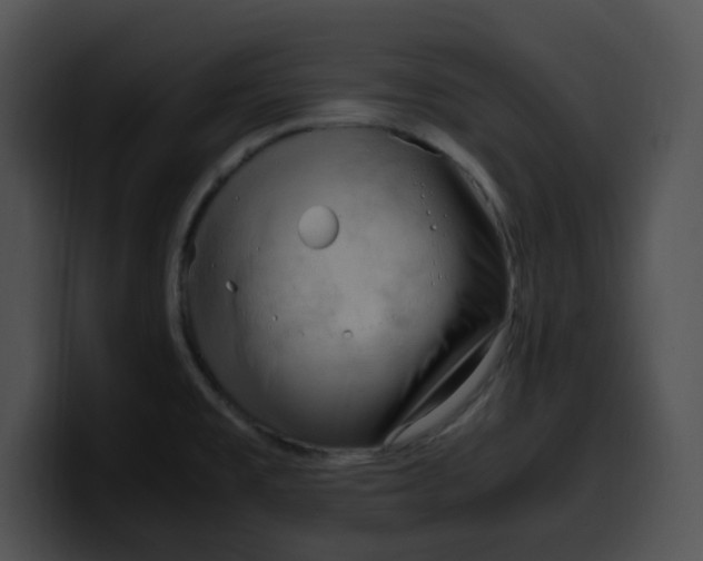 X0000099981477200806061513