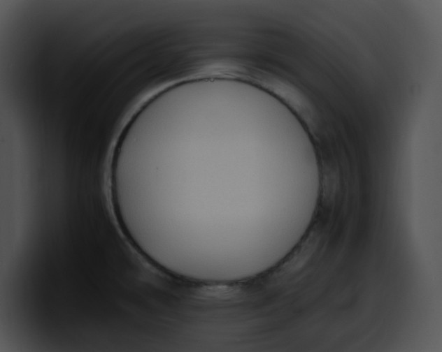 X0000099981478200806061513