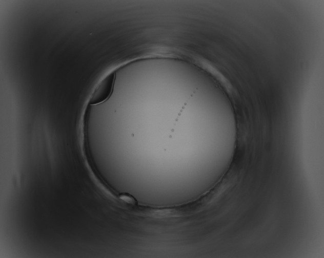 X0000099981479200806061512