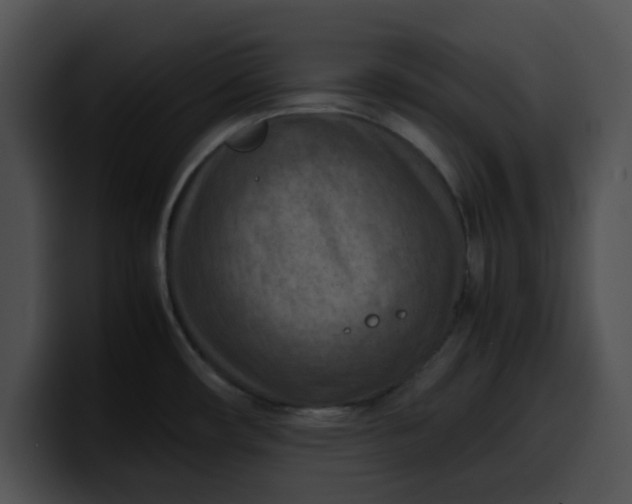 X0000099981482200806061512