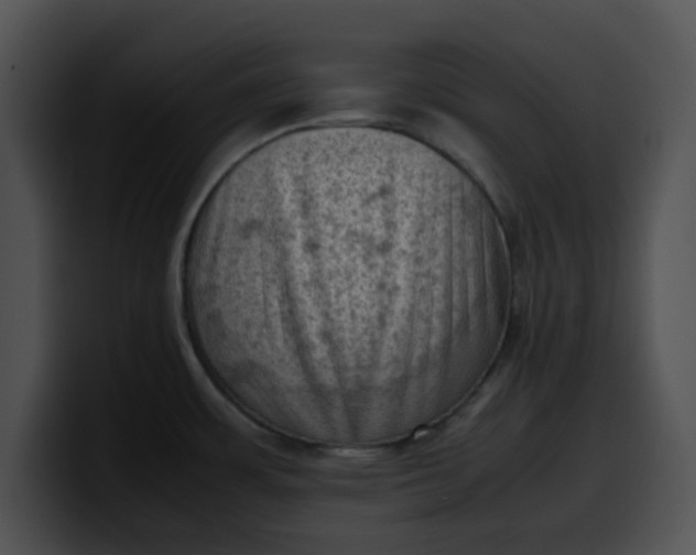 X0000099981483200806061512