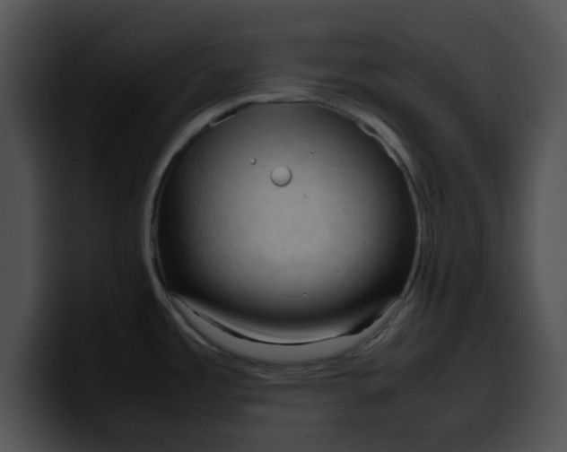 X0000099981485200806061512