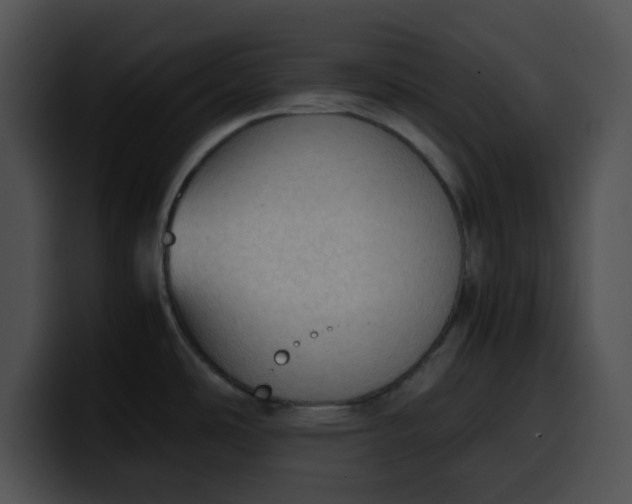 X0000099981486200806061512