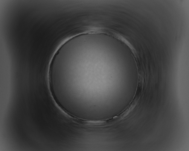 X0000099981487200806061512