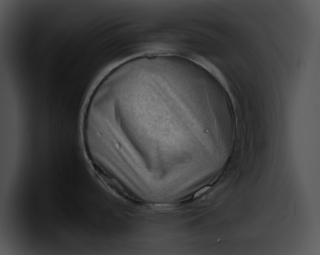 X0000099981488200806061512