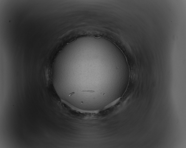 X0000099981490200806061512