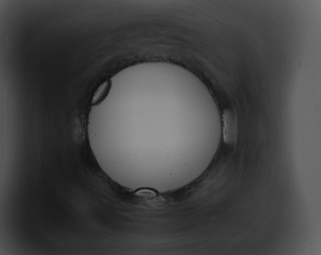 X0000099981491200806061512