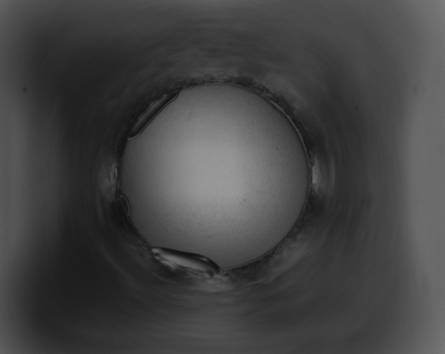 X0000099981492200806061512