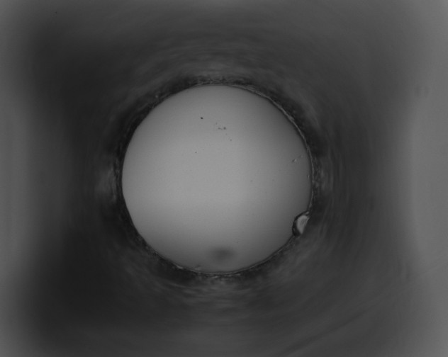 X0000099981493200806061512