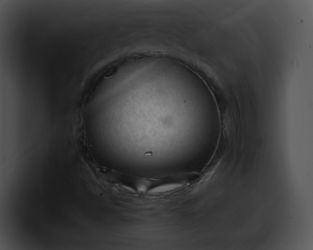 X0000099981494200806061512