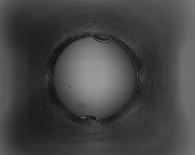 X0000099981495200806061512