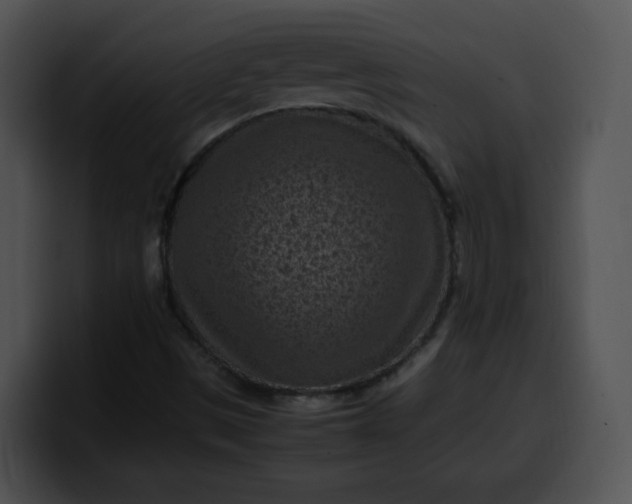 X0000099981497200806061512