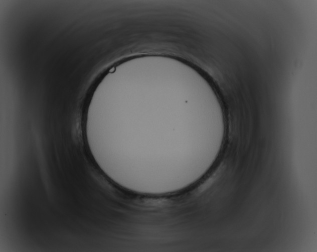 X0000099981498200806061512