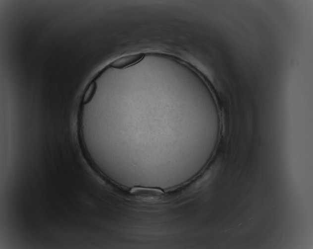 X0000099981500200806061512