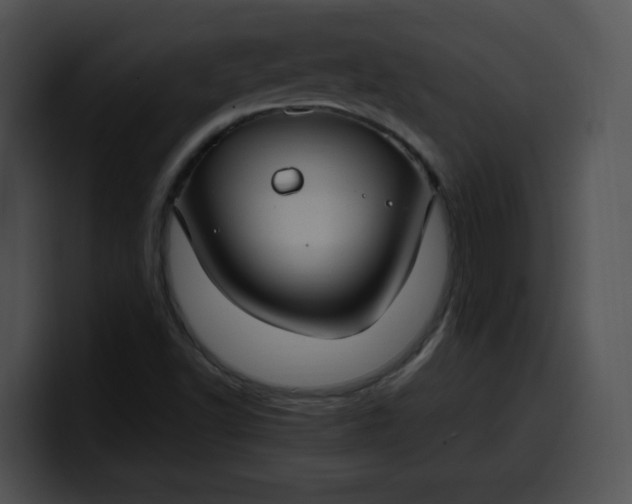 X0000099981502200806061512