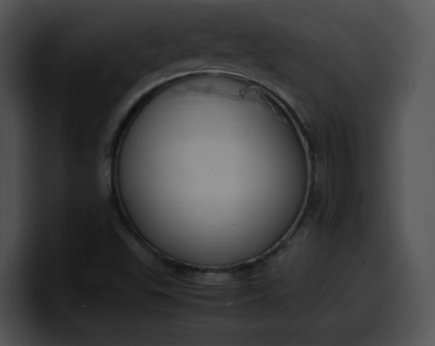 X0000099981503200806061512