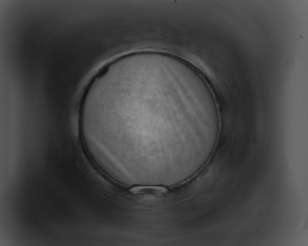 X0000099981504200806061512