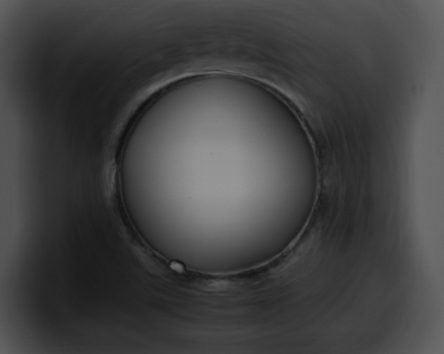 X0000099981507200806061512