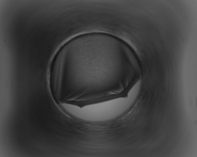 X0000099981508200806061512