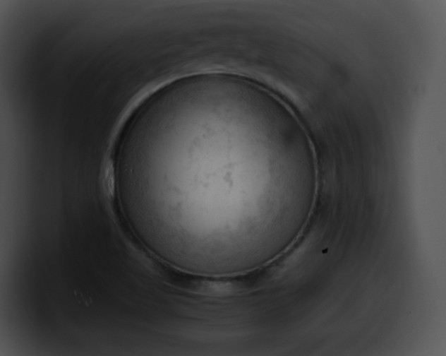 X0000099981509200806061512