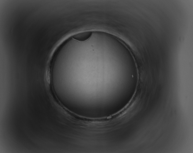 X0000099981510200806061512